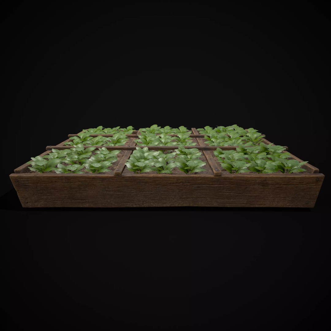 Square Planting Plots Vegetables 3D Model – Low Poly Game Ready, FBX & OBJ - View 29