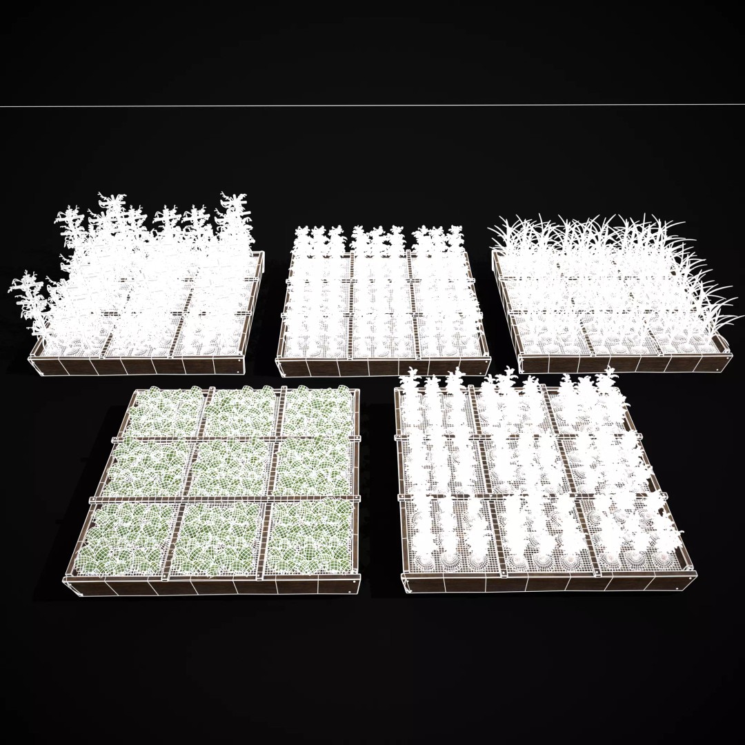 Square Planting Plots Vegetables 3D Model – Low Poly Game Ready, FBX & OBJ - View 3