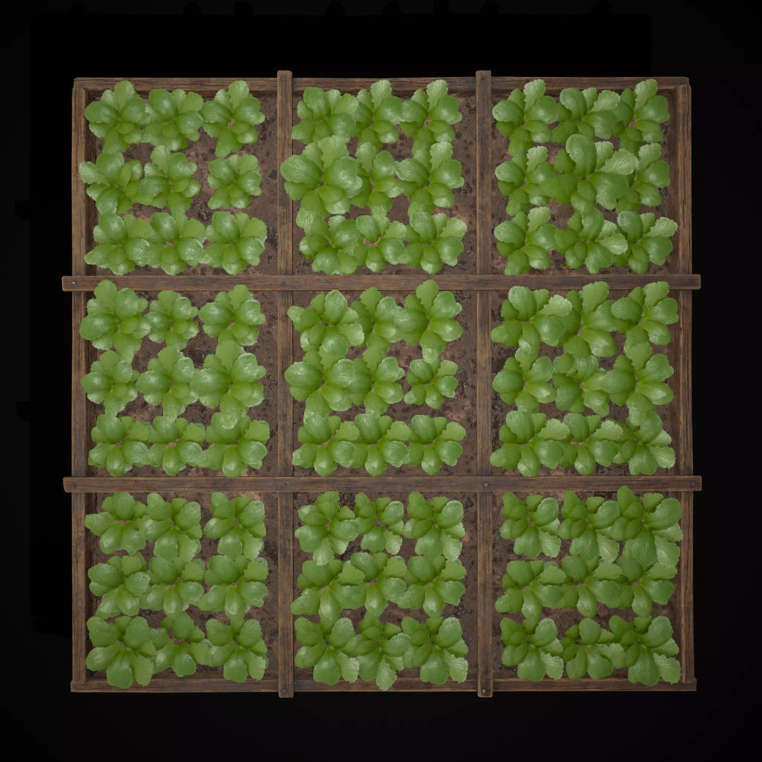 Square Planting Plots Vegetables 3D Model – Low Poly Game Ready, FBX & OBJ - View 30