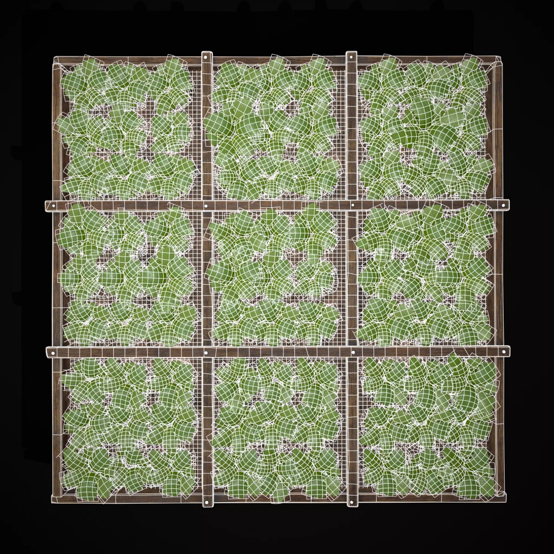 Square Planting Plots Vegetables 3D Model – Low Poly Game Ready, FBX & OBJ - View 31