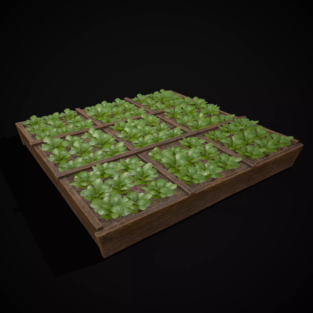 Square Planting Plots Vegetables 3D Model – Low Poly Game Ready, FBX & OBJ - View 32