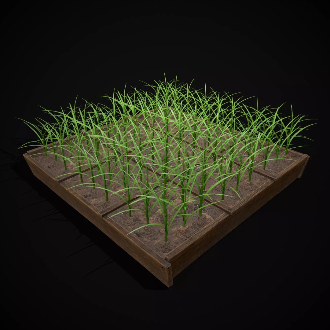 Square Planting Plots Vegetables 3D Model – Low Poly Game Ready, FBX & OBJ - View 33