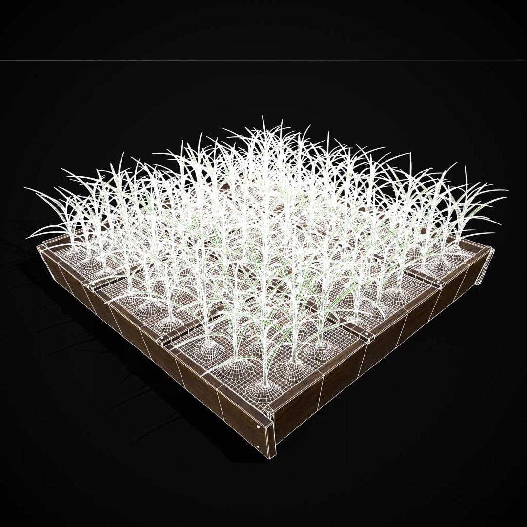 Square Planting Plots Vegetables 3D Model – Low Poly Game Ready, FBX & OBJ - View 34