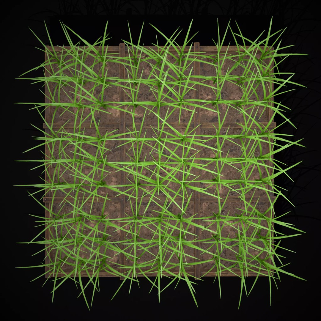 Square Planting Plots Vegetables 3D Model – Low Poly Game Ready, FBX & OBJ - View 35