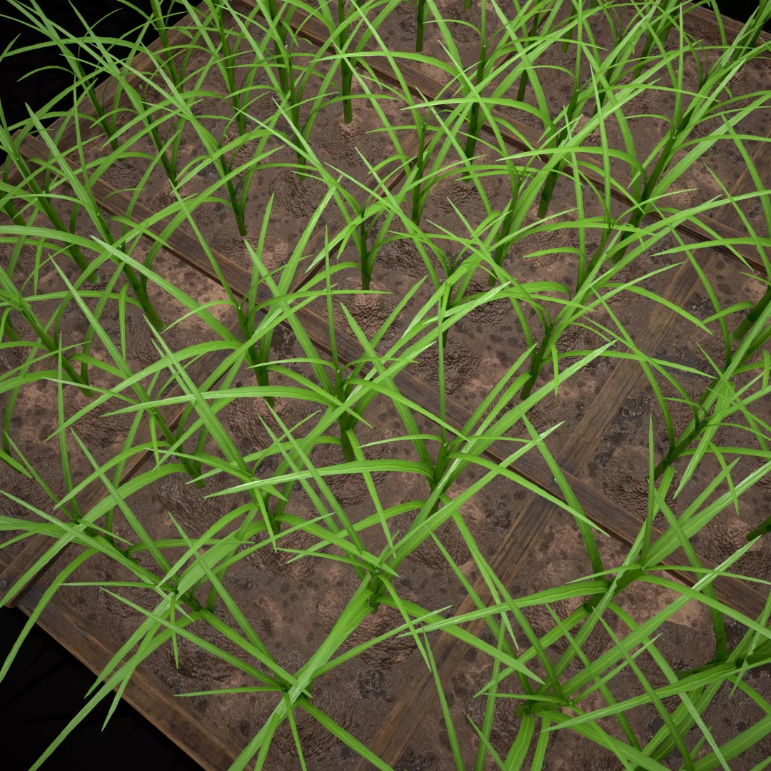 Square Planting Plots Vegetables 3D Model – Low Poly Game Ready, FBX & OBJ - View 37