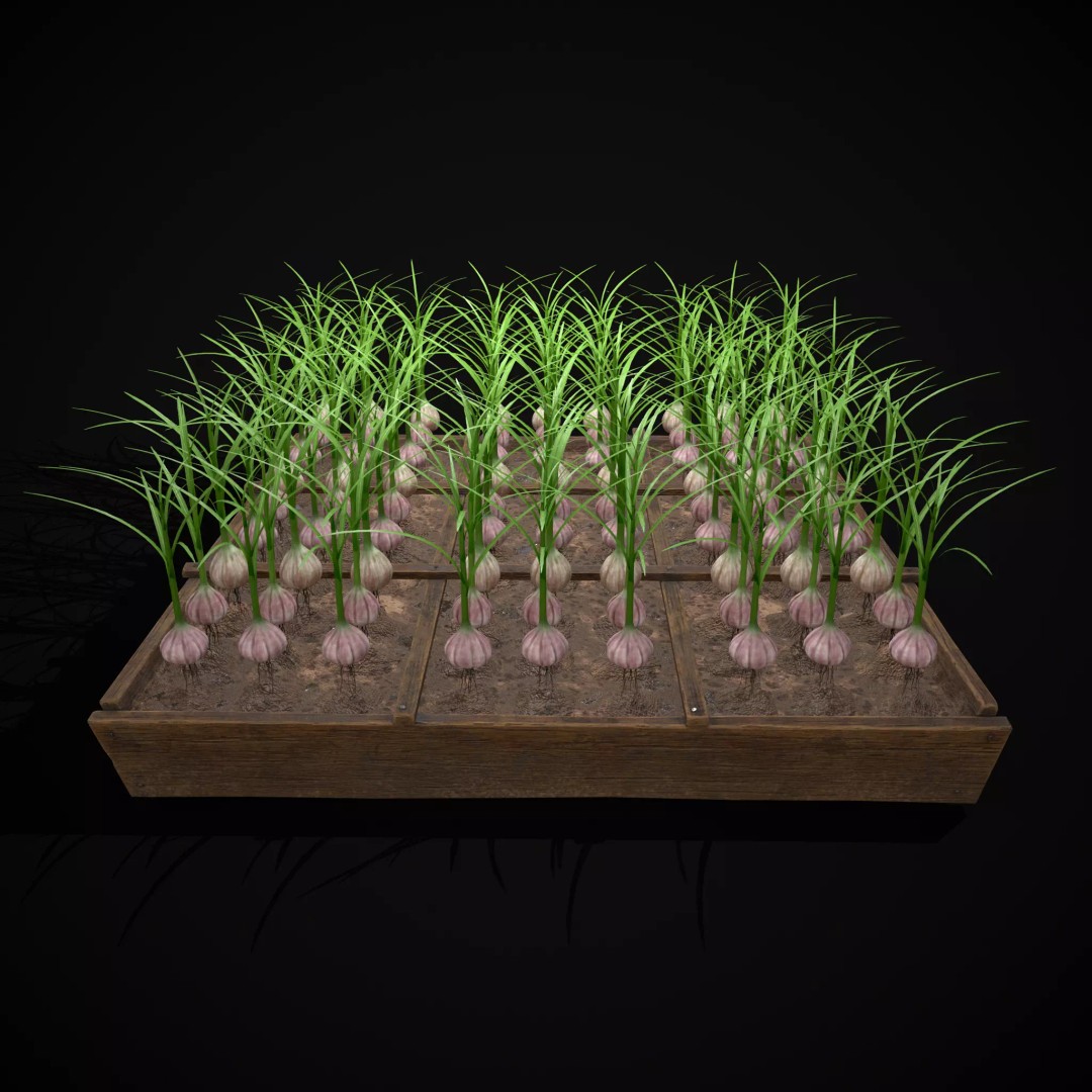 Square Planting Plots Vegetables 3D Model – Low Poly Game Ready, FBX & OBJ - View 39