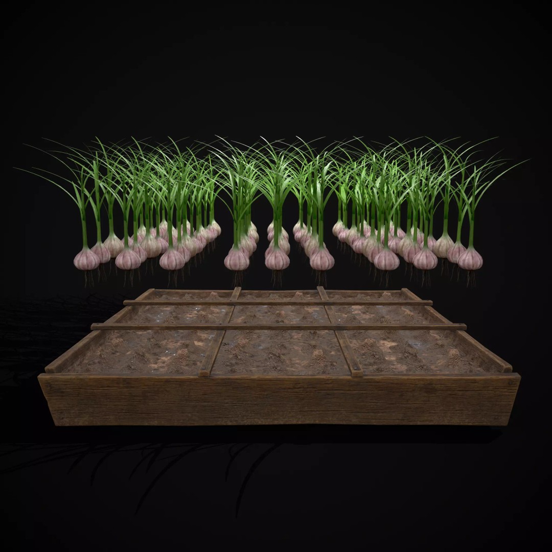Square Planting Plots Vegetables 3D Model – Low Poly Game Ready, FBX & OBJ - View 41
