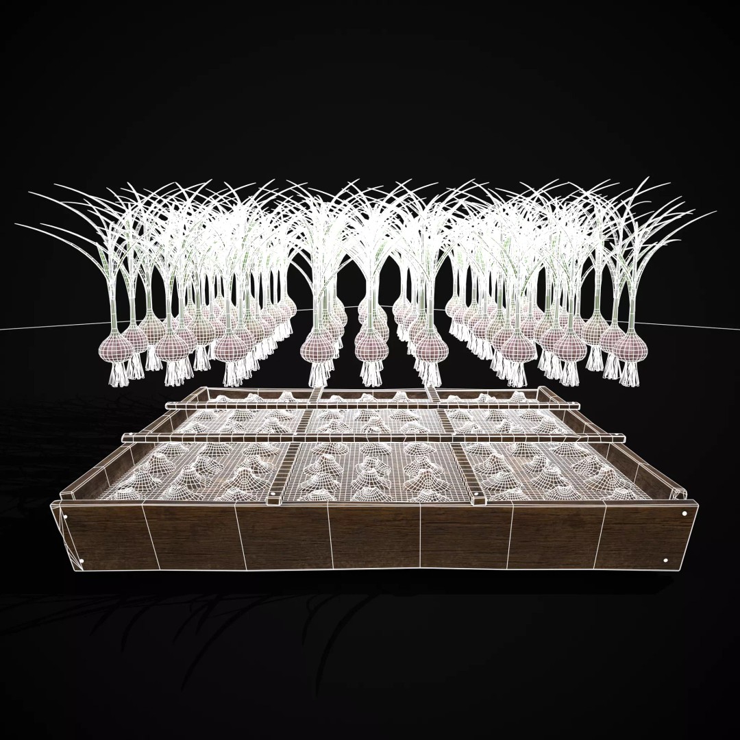 Square Planting Plots Vegetables 3D Model – Low Poly Game Ready, FBX & OBJ - View 42
