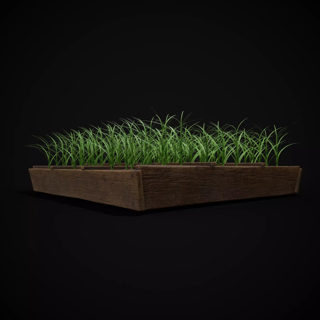 Square Planting Plots Vegetables 3D Model – Low Poly Game Ready, FBX & OBJ - View 43