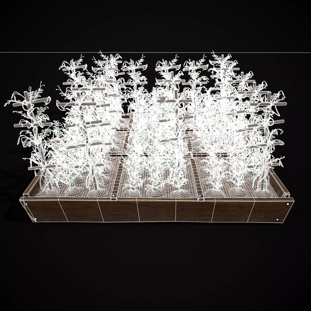 Square Planting Plots Vegetables 3D Model – Low Poly Game Ready, FBX & OBJ - View 46