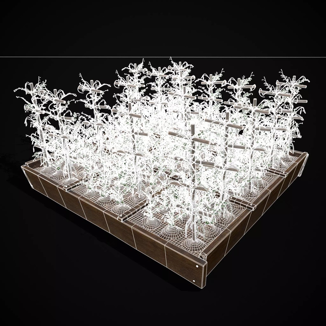 Square Planting Plots Vegetables 3D Model – Low Poly Game Ready, FBX & OBJ - View 48