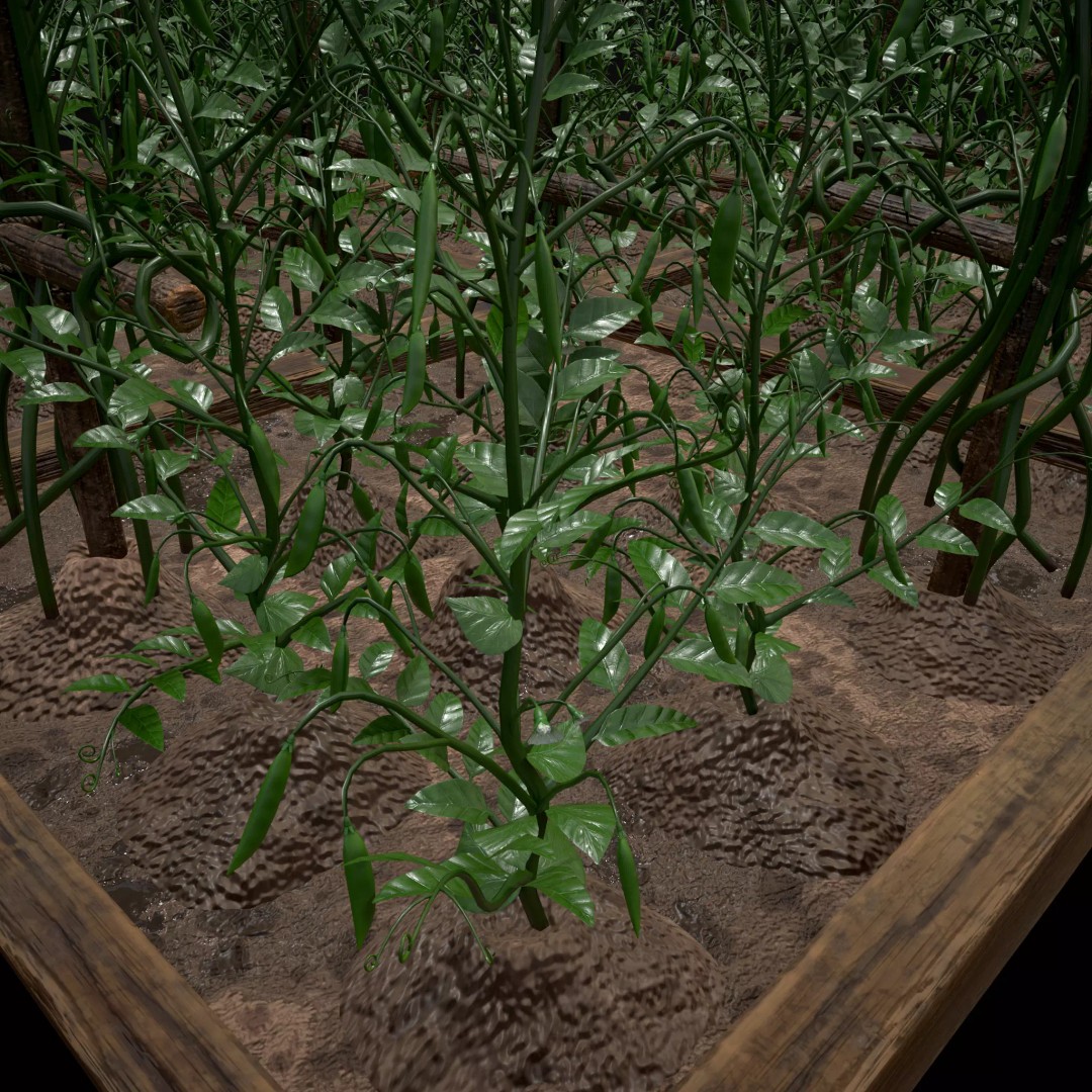 Square Planting Plots Vegetables 3D Model – Low Poly Game Ready, FBX & OBJ - View 54