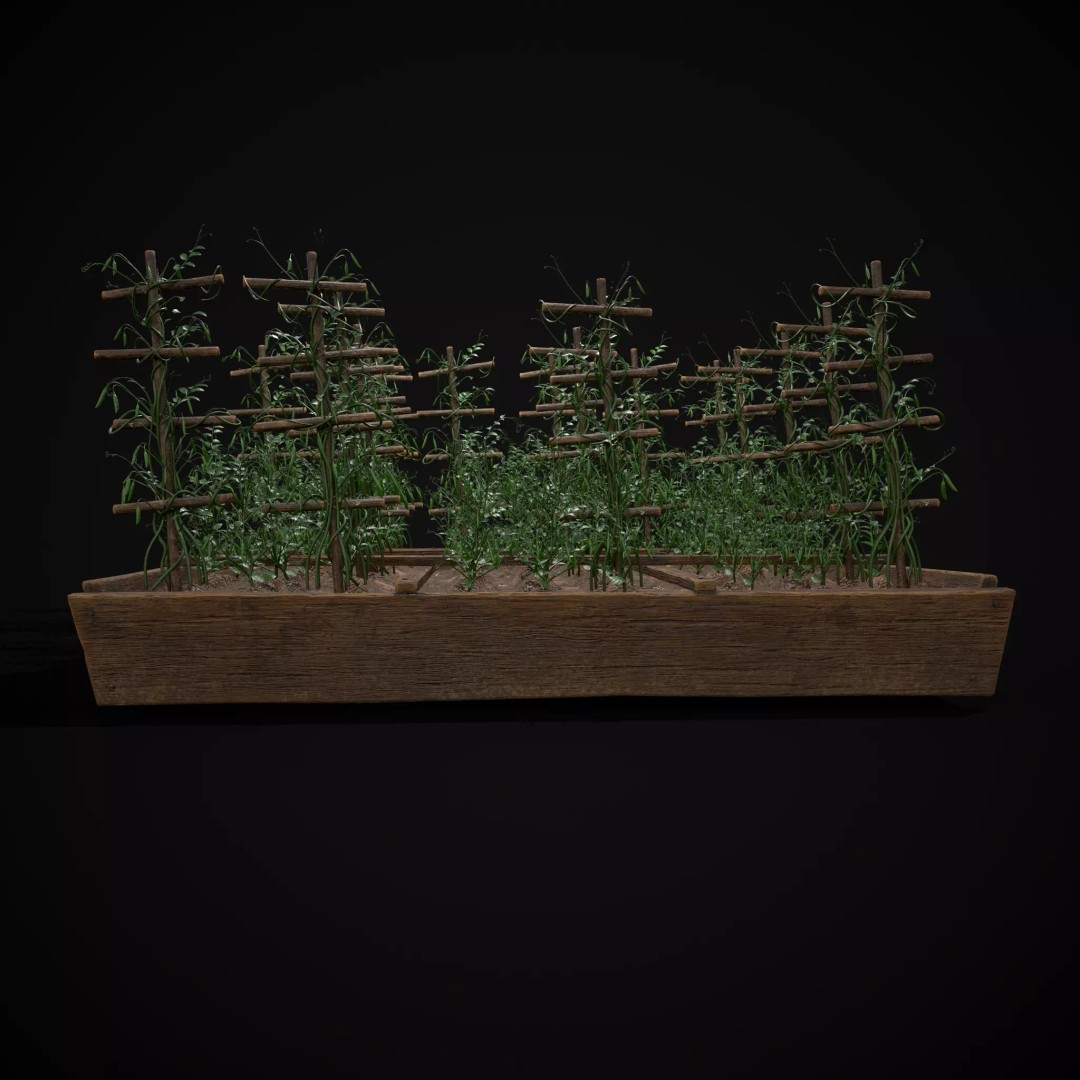 Square Planting Plots Vegetables 3D Model – Low Poly Game Ready, FBX & OBJ - View 55