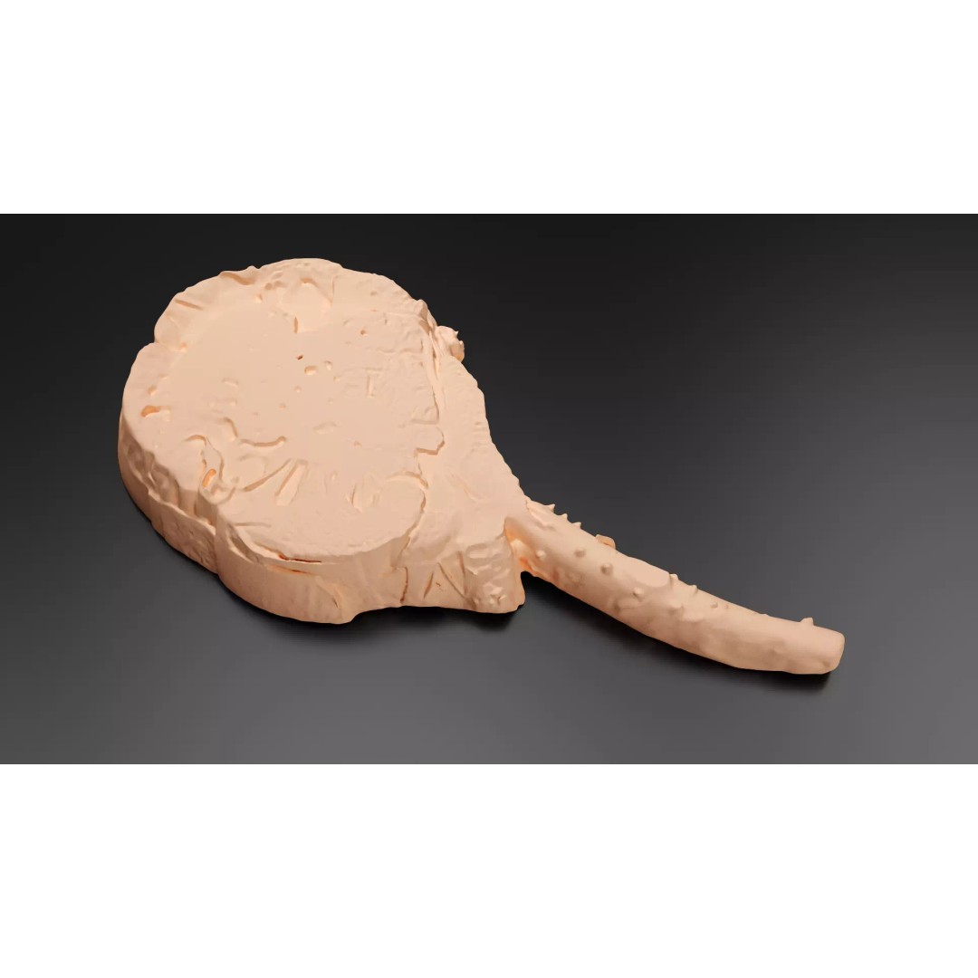 Grilled Bone-In Steak 3D Model – Low Poly PBR Asset for Games - View 10