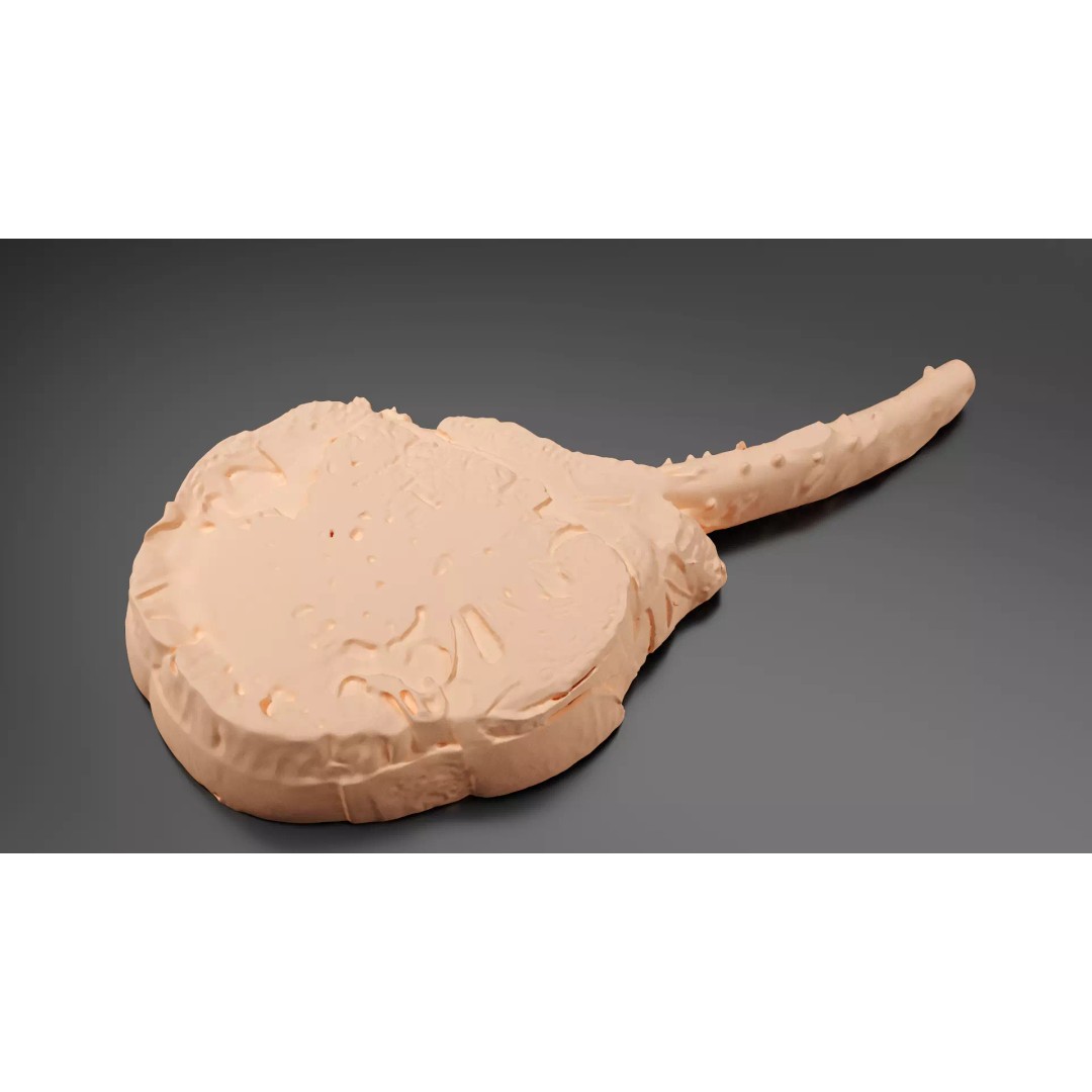 Grilled Bone-In Steak 3D Model – Low Poly PBR Asset for Games - View 11