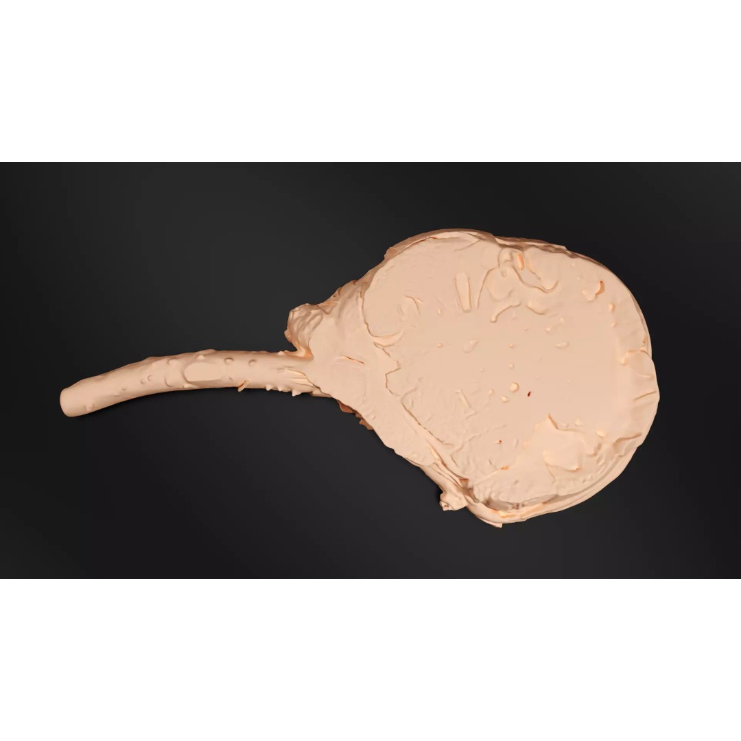 Grilled Bone-In Steak 3D Model – Low Poly PBR Asset for Games - View 12