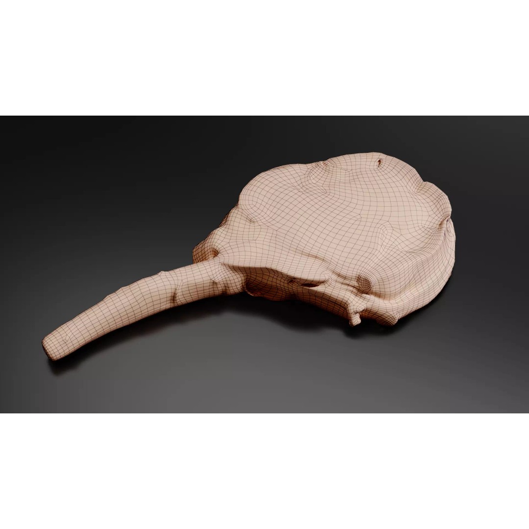 Grilled Bone-In Steak 3D Model – Low Poly PBR Asset for Games - View 13