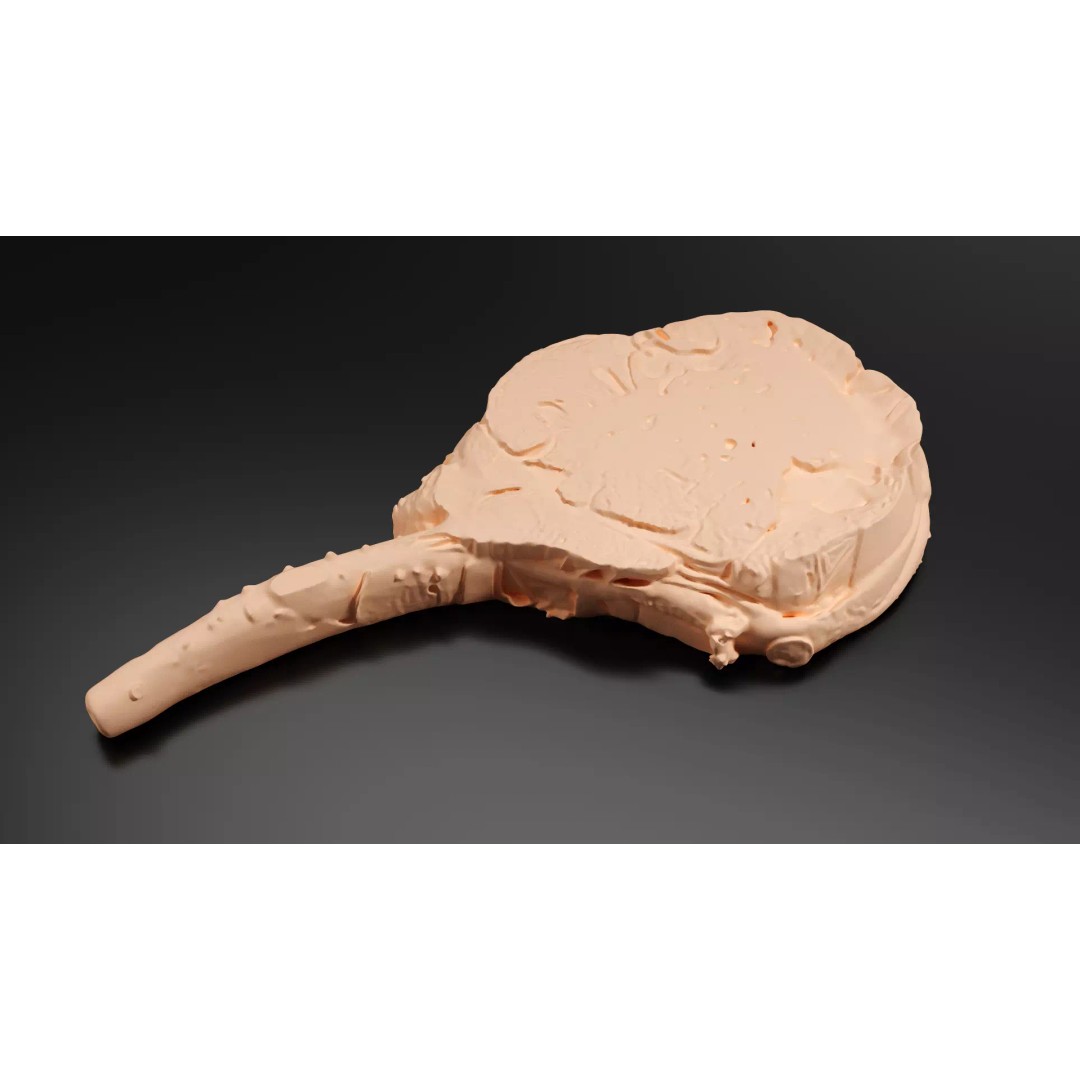 Grilled Bone-In Steak 3D Model – Low Poly PBR Asset for Games - View 8