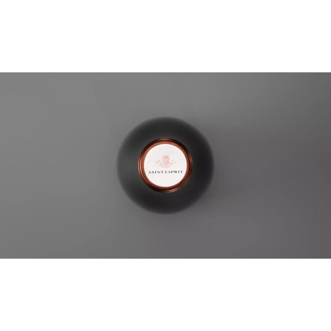 Wine Bottle 3D Model – High-Quality Realistic Mockup with PBR Textures - View 8