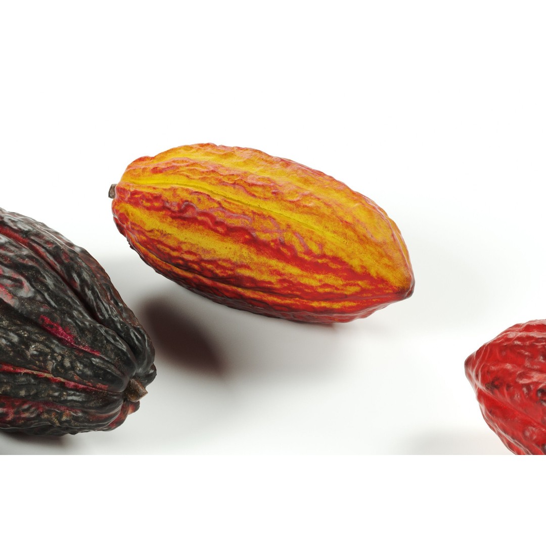 Cocoa Fruits 3D Model – High Poly PBR Textures, FBX Format - View 3