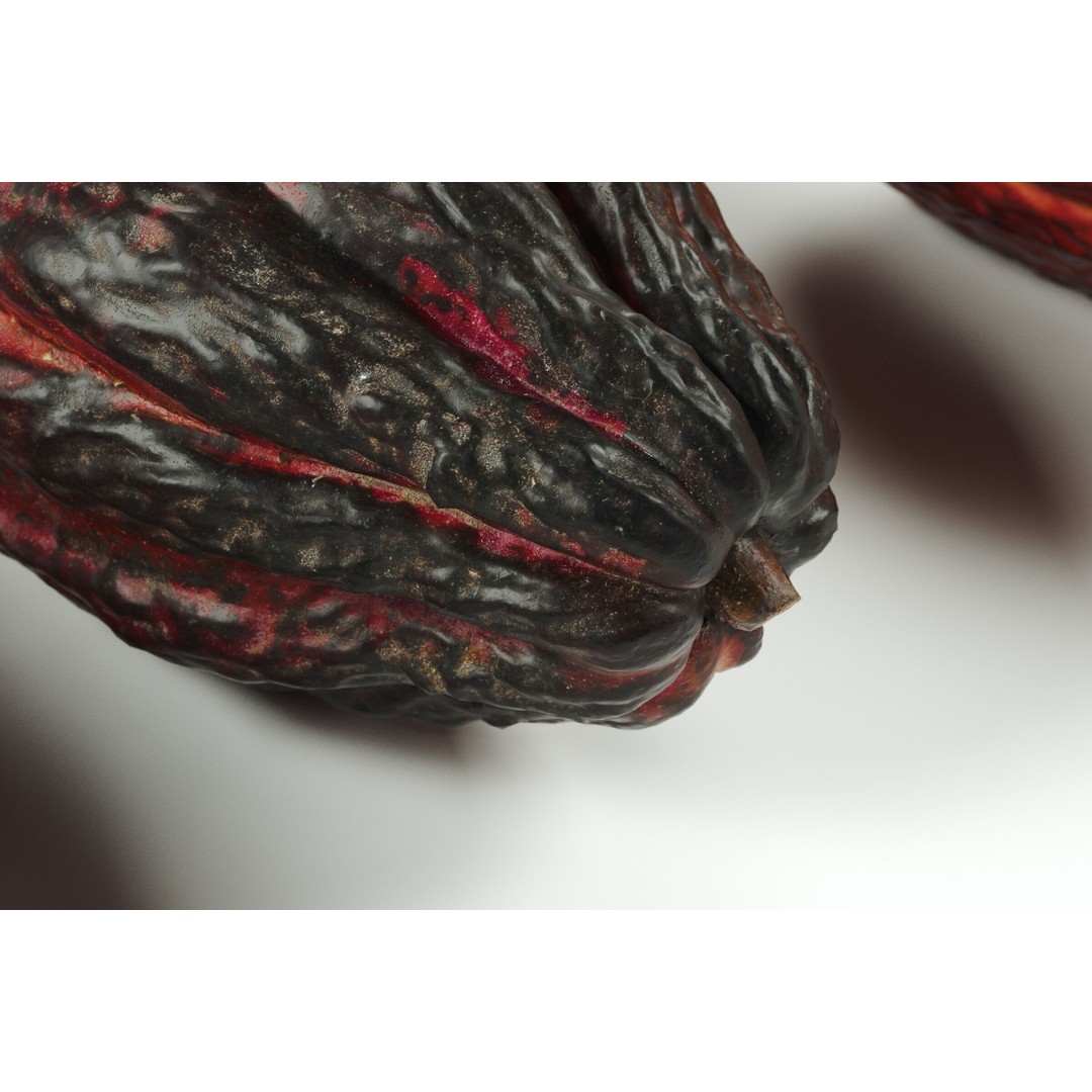 Cocoa Fruits 3D Model – High Poly PBR Textures, FBX Format - View 5