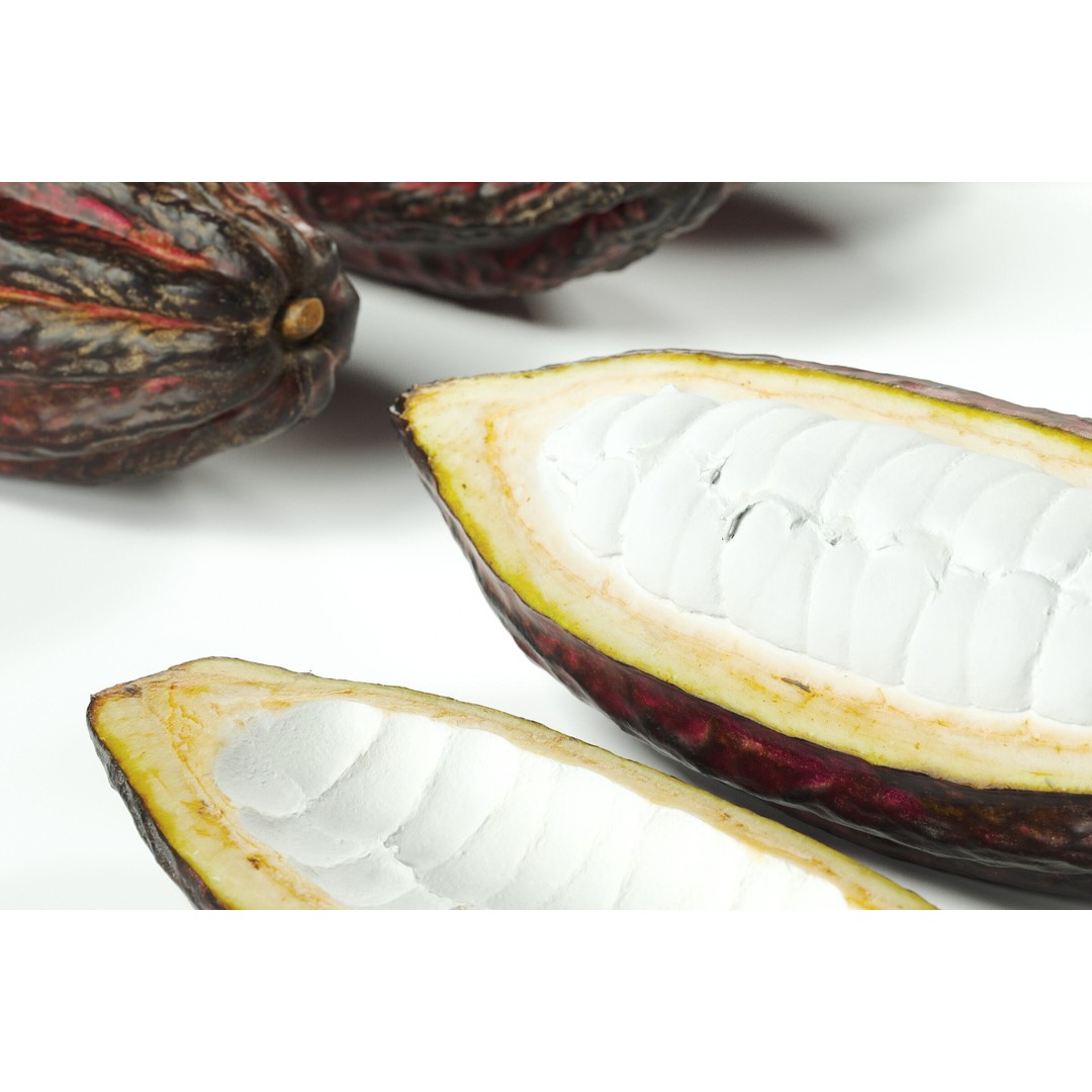 Cocoa Fruits 3D Model – High Poly PBR Textures, FBX Format - View 6