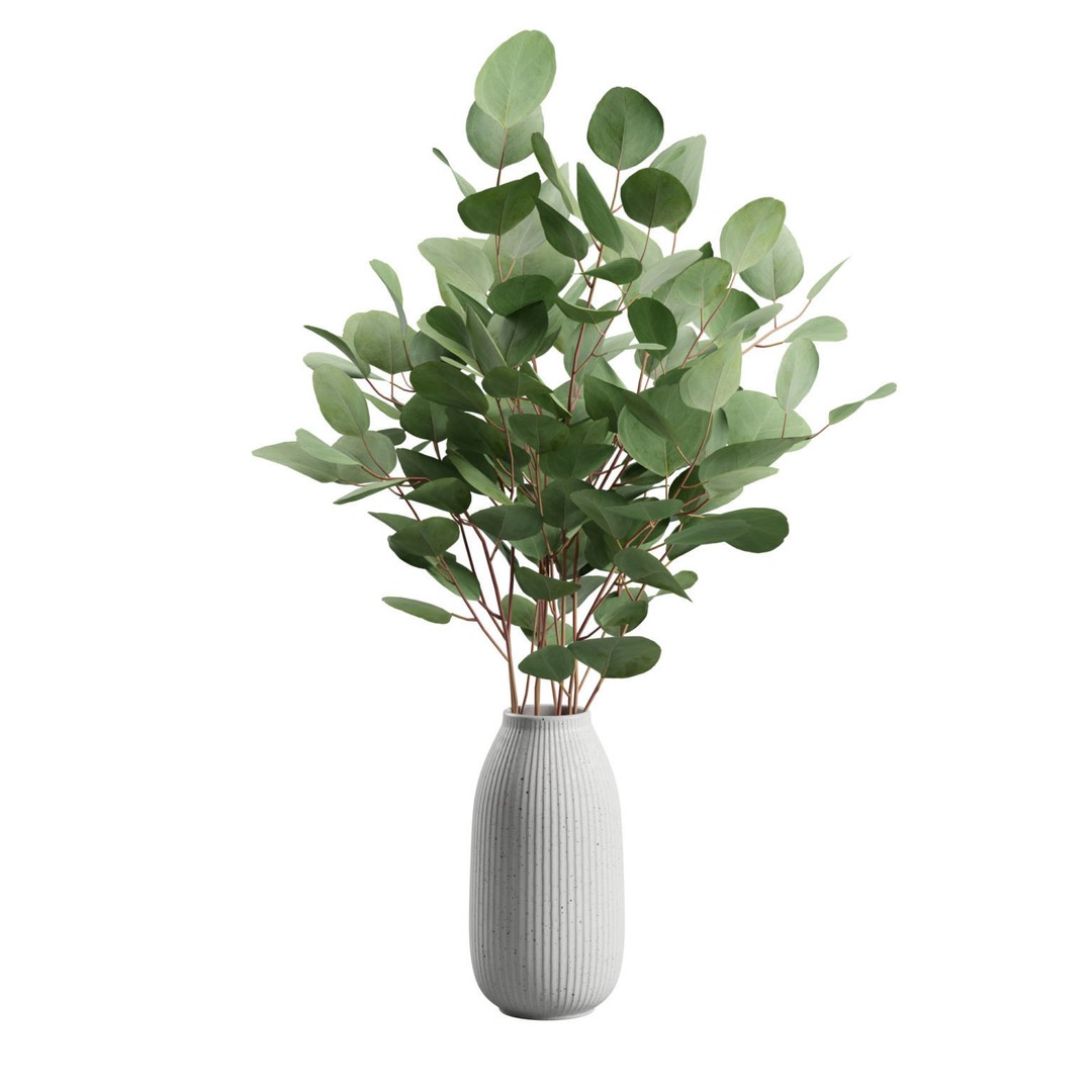 Eucalyptus Bouquet 3D Model – Elegant Dry Plant Arrangement, FBX, OBJ