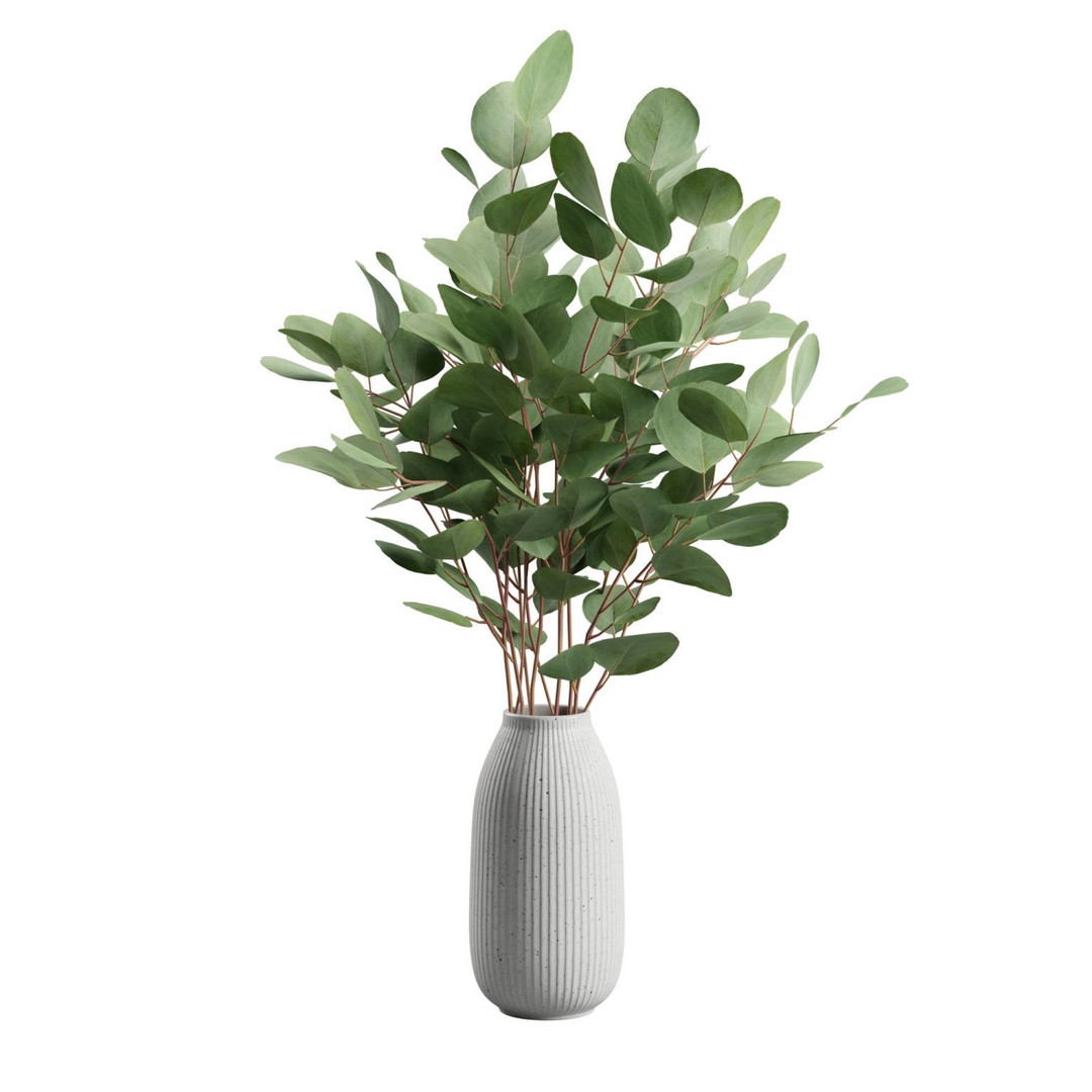 Eucalyptus Bouquet 3D Model – Elegant Dry Plant Arrangement, FBX, OBJ - View 10