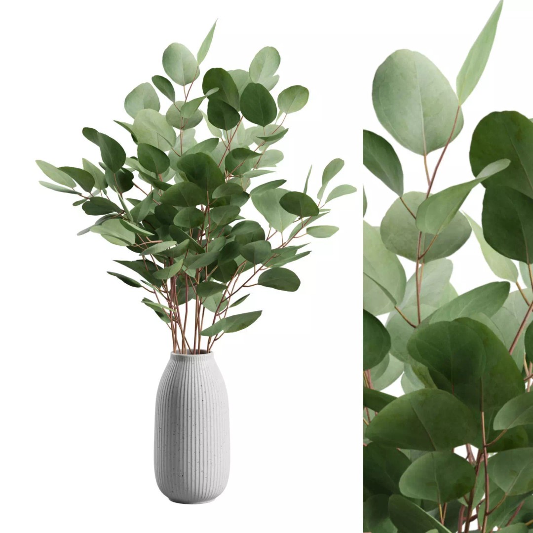 Eucalyptus Bouquet 3D Model – Elegant Dry Plant Arrangement, FBX, OBJ - View 2