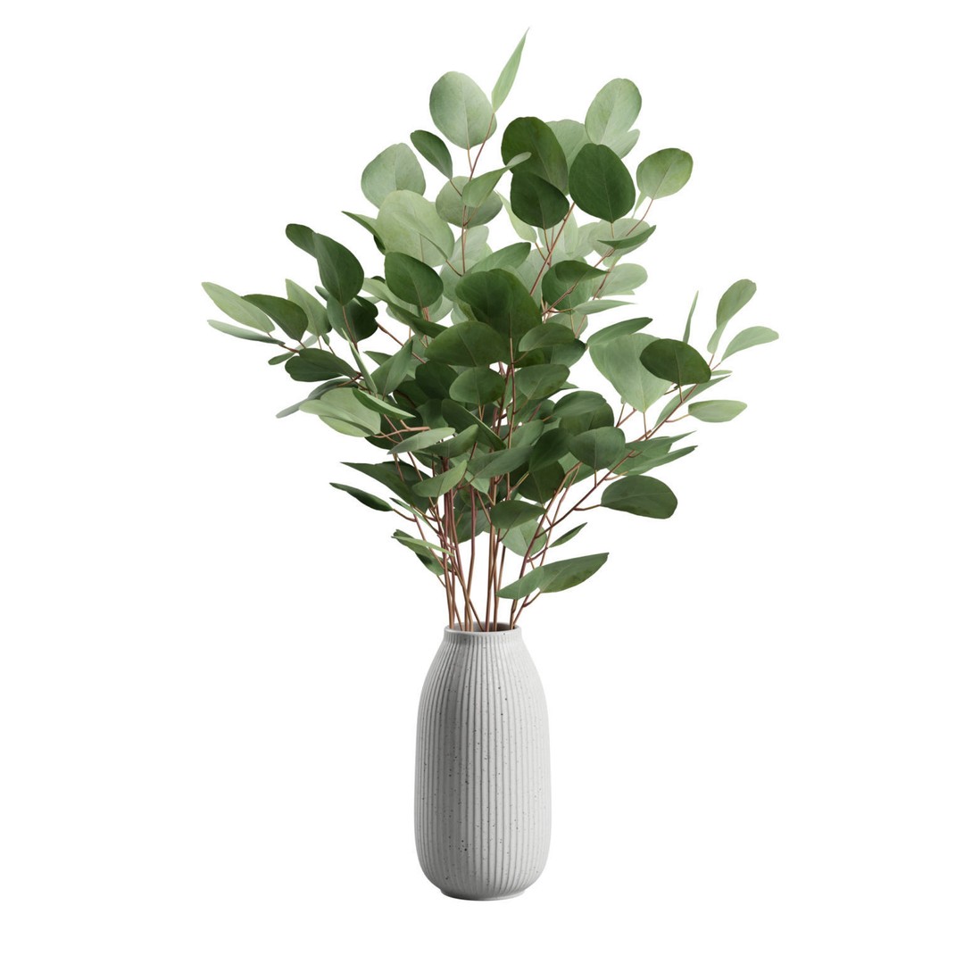 Eucalyptus Bouquet 3D Model – Elegant Dry Plant Arrangement, FBX, OBJ - View 3