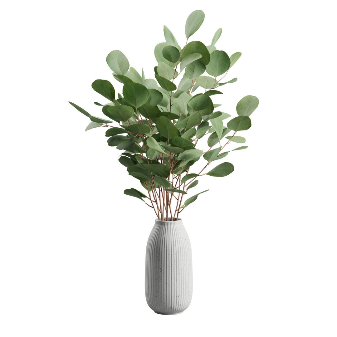 Eucalyptus Bouquet 3D Model – Elegant Dry Plant Arrangement, FBX, OBJ - View 6