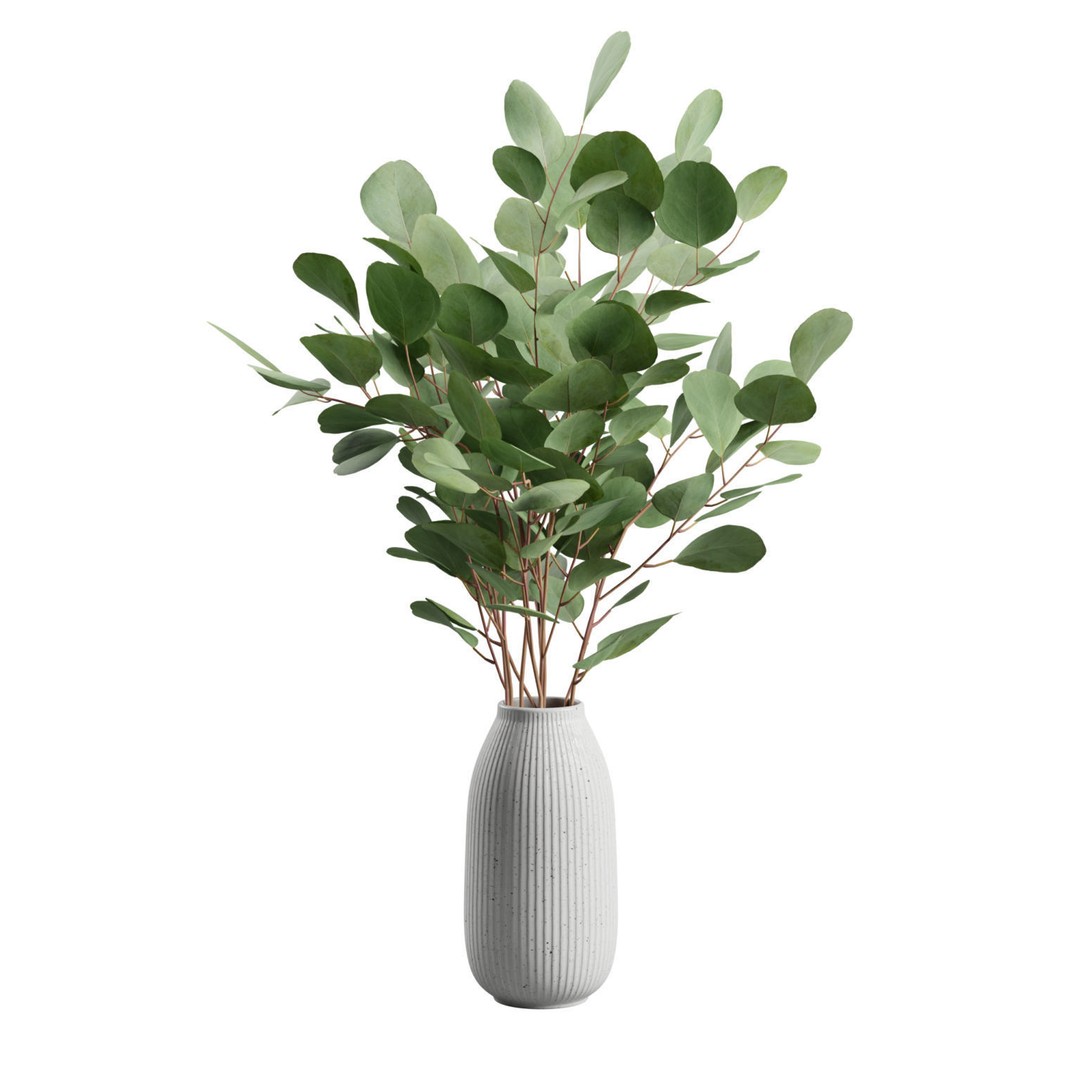 Eucalyptus Bouquet 3D Model – Elegant Dry Plant Arrangement, FBX, OBJ - View 7
