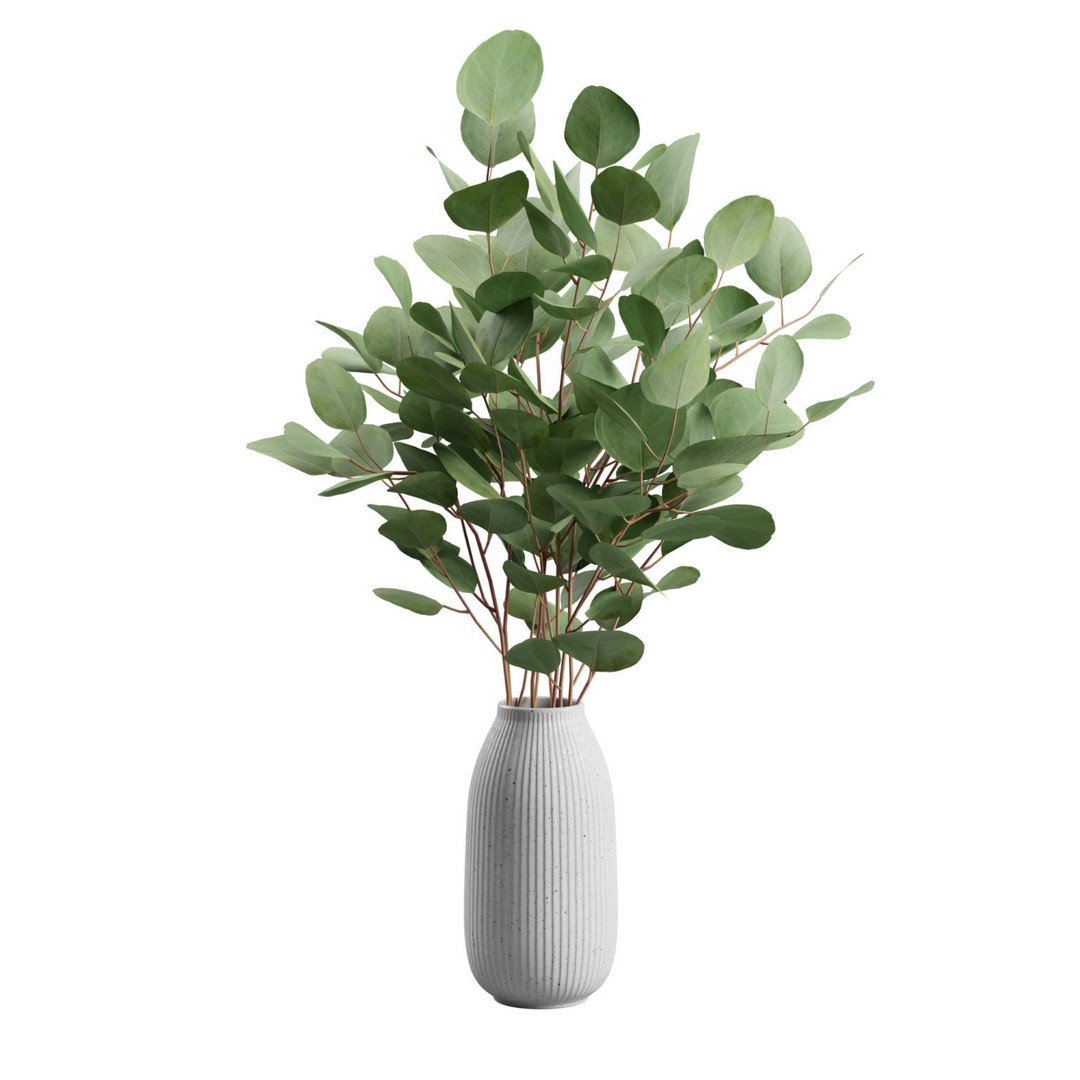Eucalyptus Bouquet 3D Model – Elegant Dry Plant Arrangement, FBX, OBJ - View 8