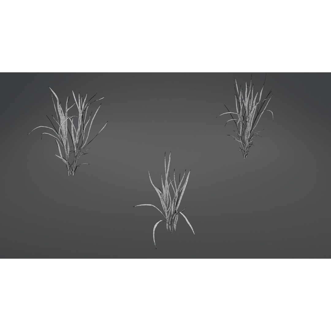 Grass Kit 3D Model – Realistic Low Poly & Medium Poly Variants, FBX - View 11