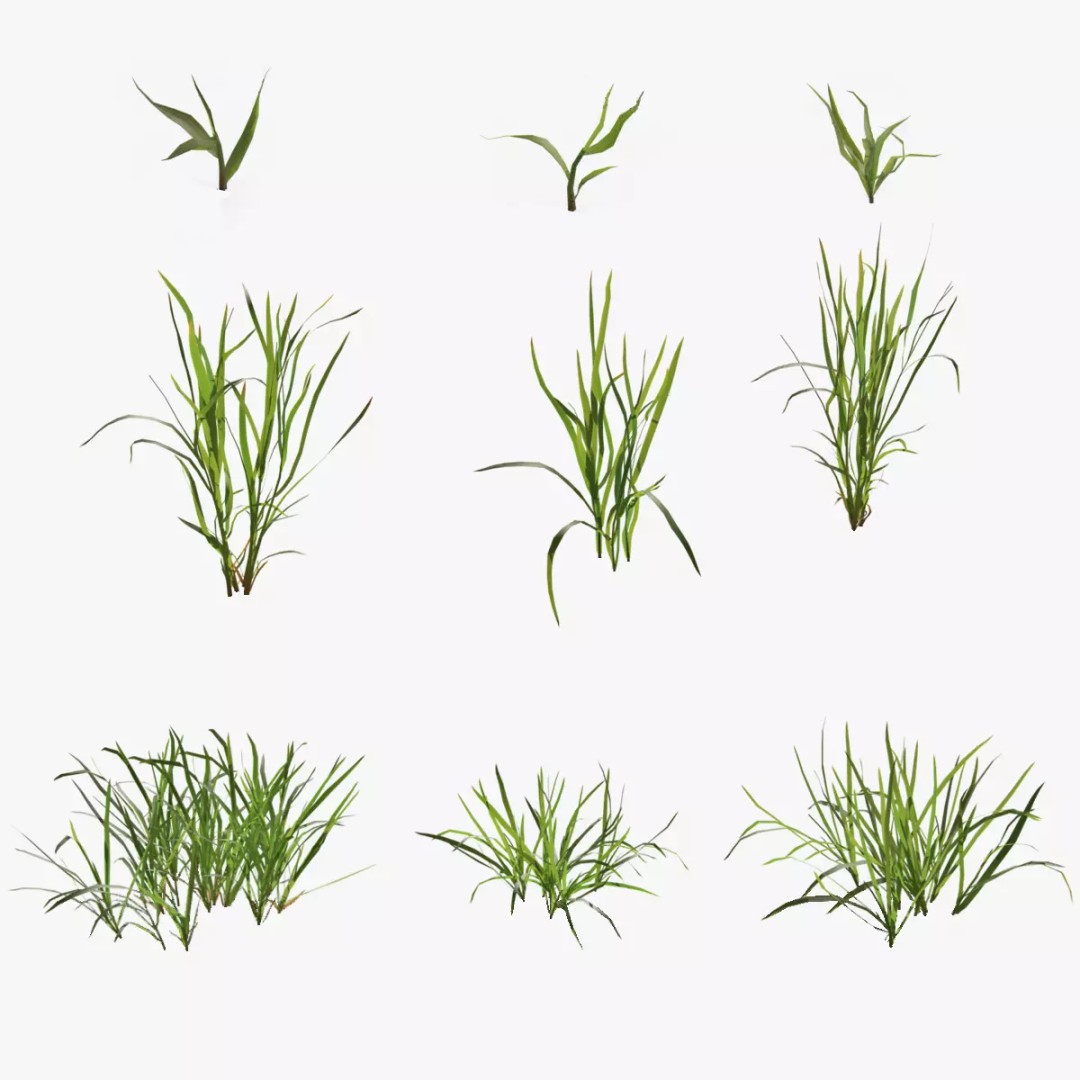 Grass Kit 3D Model – Realistic Low Poly & Medium Poly Variants, FBX - View 2
