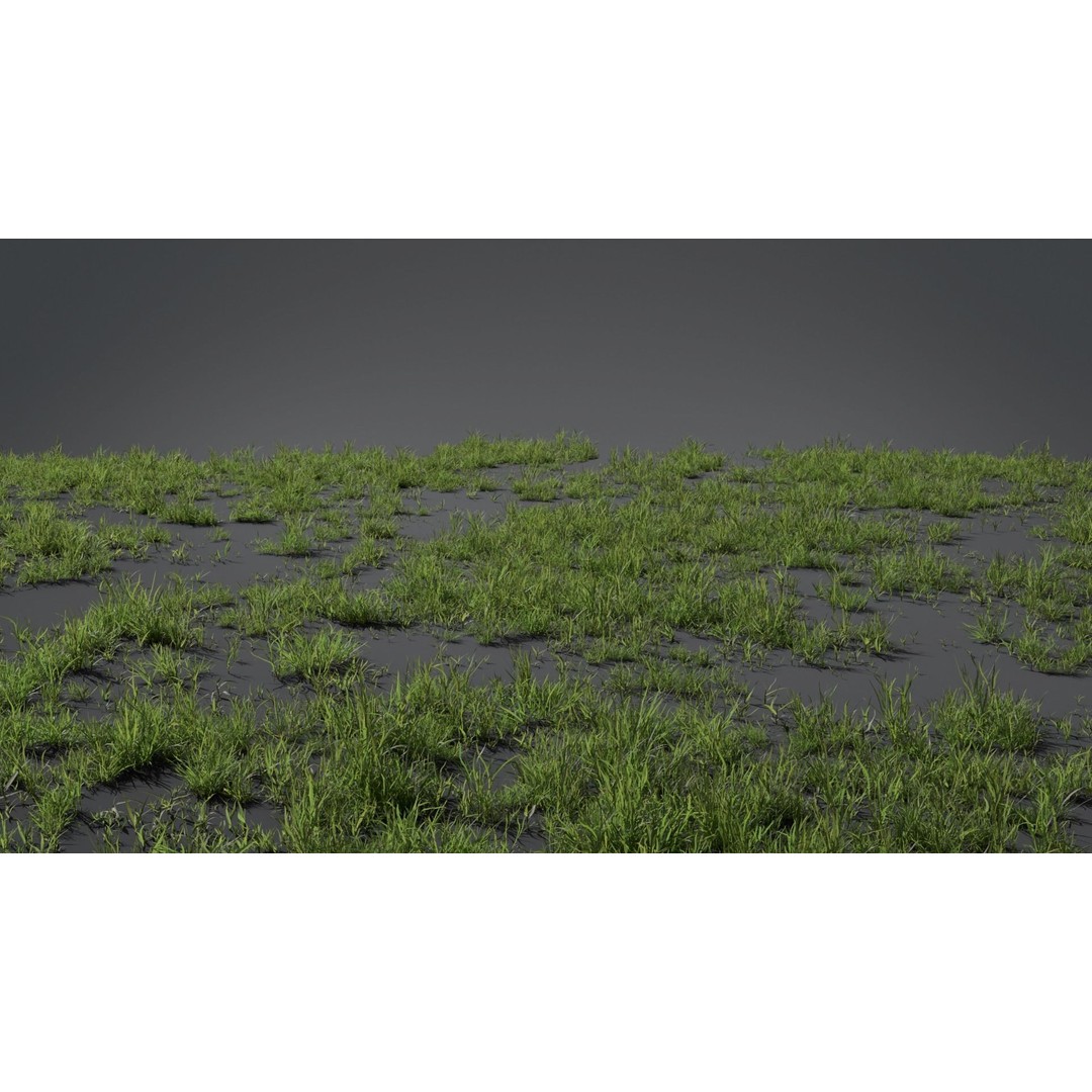 Grass Kit 3D Model – Realistic Low Poly & Medium Poly Variants, FBX - View 3