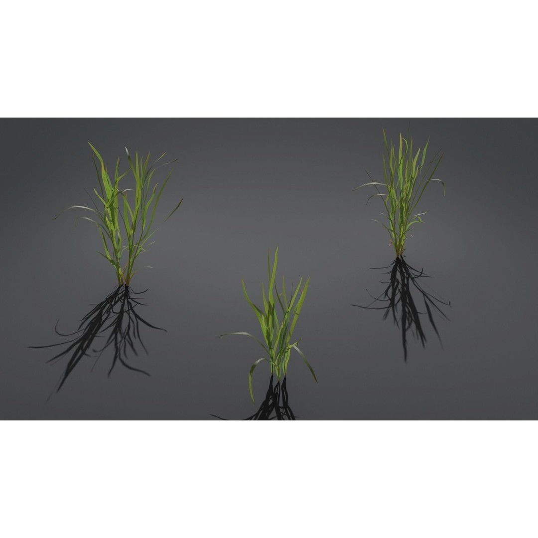 Grass Kit 3D Model – Realistic Low Poly & Medium Poly Variants, FBX - View 4