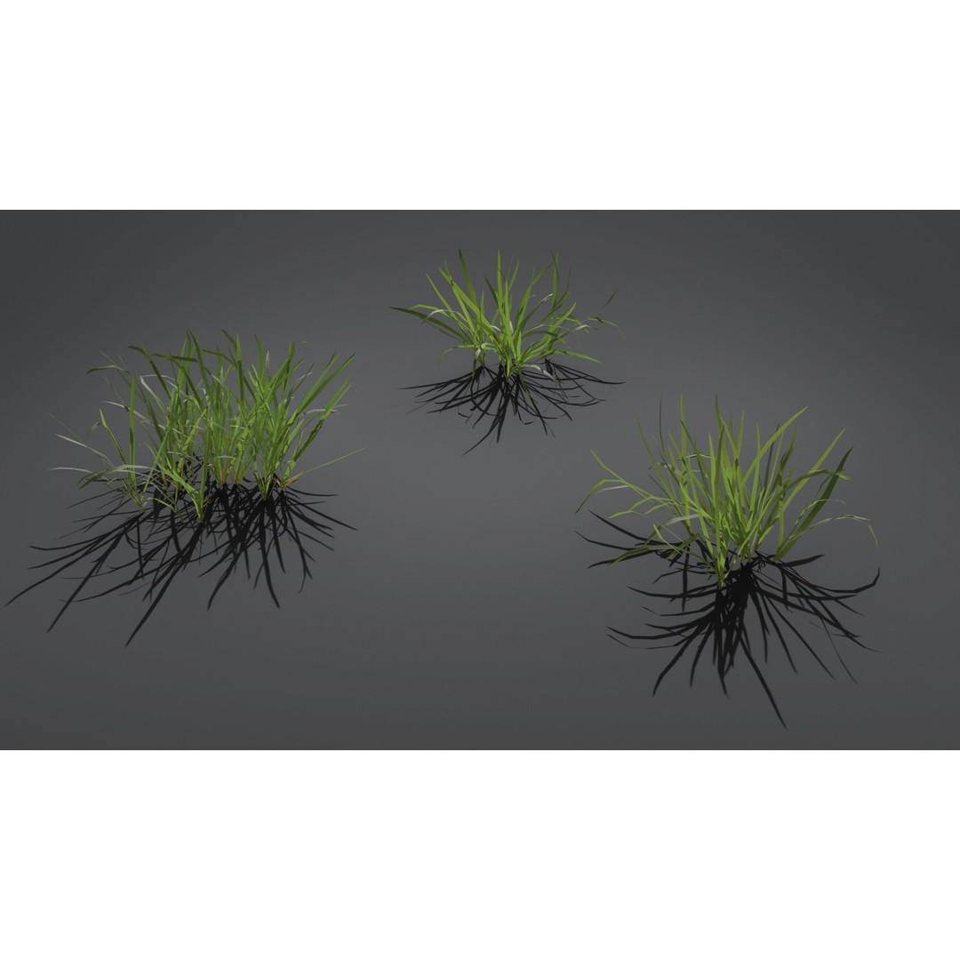 Grass Kit 3D Model – Realistic Low Poly & Medium Poly Variants, FBX - View 5