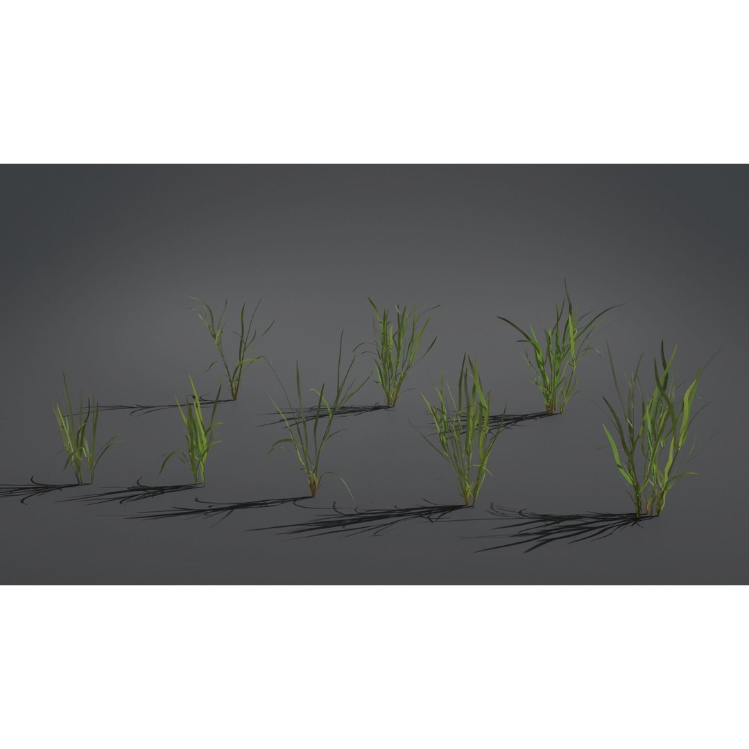 Grass Kit 3D Model – Realistic Low Poly & Medium Poly Variants, FBX - View 6