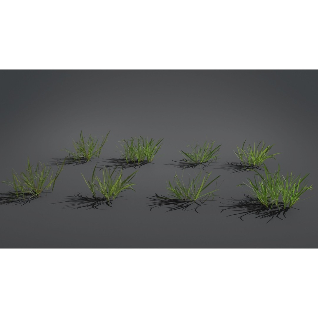 Grass Kit 3D Model – Realistic Low Poly & Medium Poly Variants, FBX - View 7