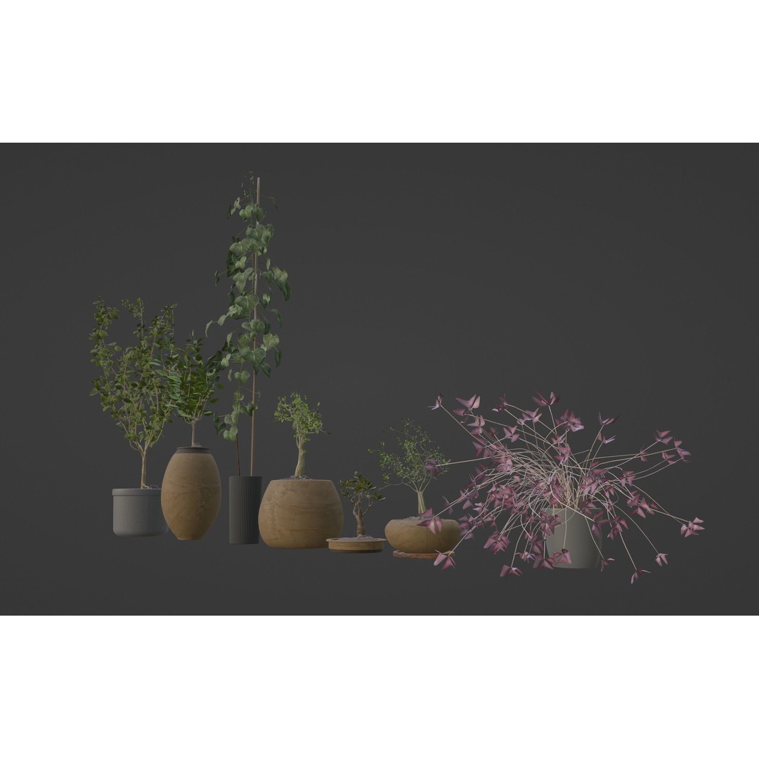 Potted Plants 3D Model – Hi-Poly Collection with PBR Textures, FBX & OBJ