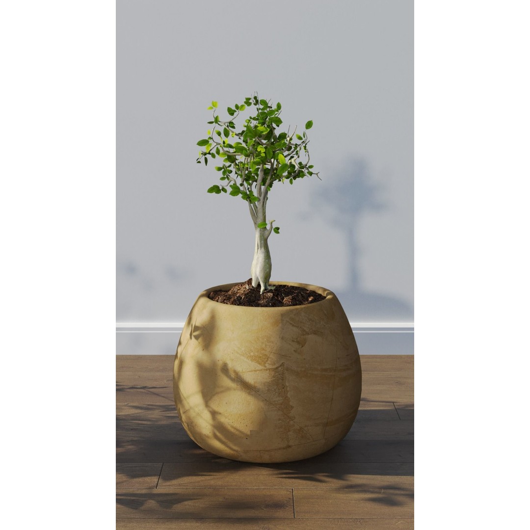 Potted Plants 3D Model – Hi-Poly Collection with PBR Textures, FBX & OBJ - View 10