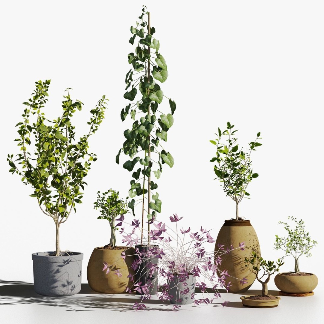 Potted Plants 3D Model – Hi-Poly Collection with PBR Textures, FBX & OBJ - View 11