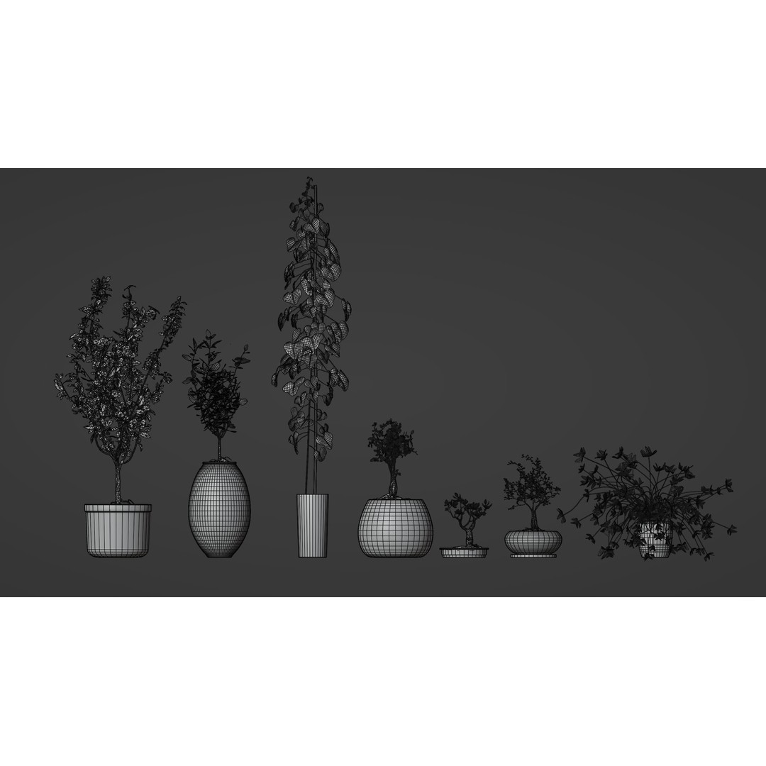 Potted Plants 3D Model – Hi-Poly Collection with PBR Textures, FBX & OBJ - View 12