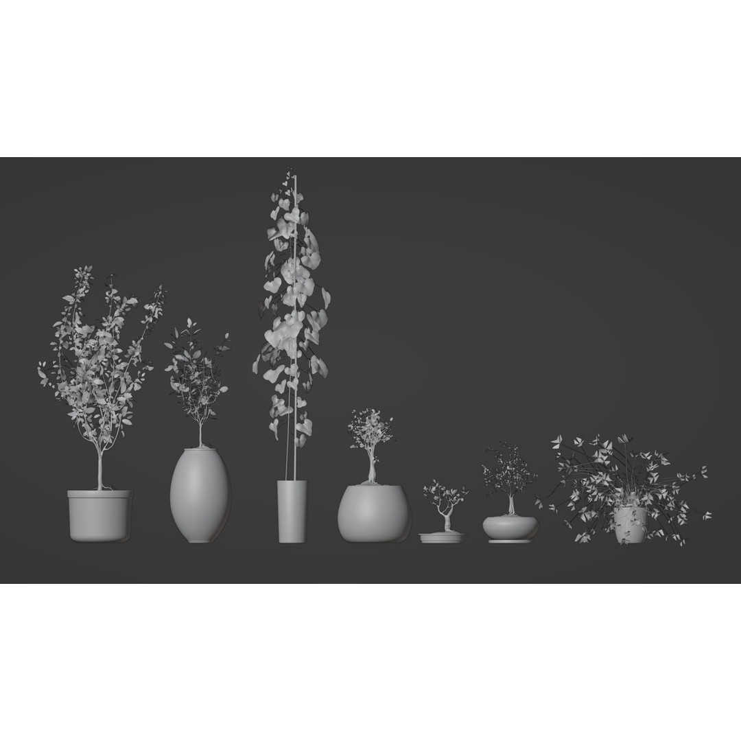 Potted Plants 3D Model – Hi-Poly Collection with PBR Textures, FBX & OBJ - View 13