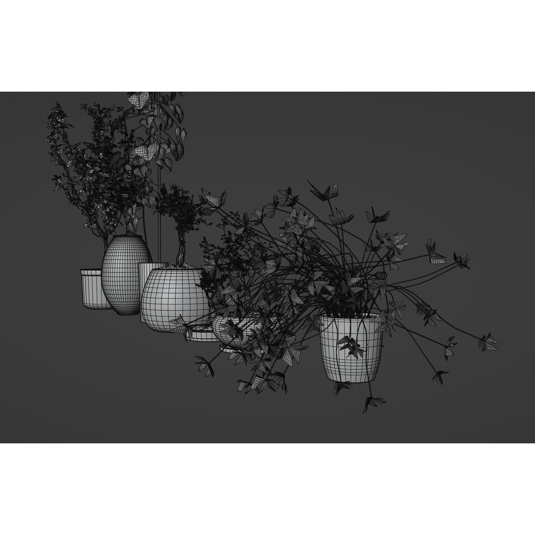 Potted Plants 3D Model – Hi-Poly Collection with PBR Textures, FBX & OBJ - View 14