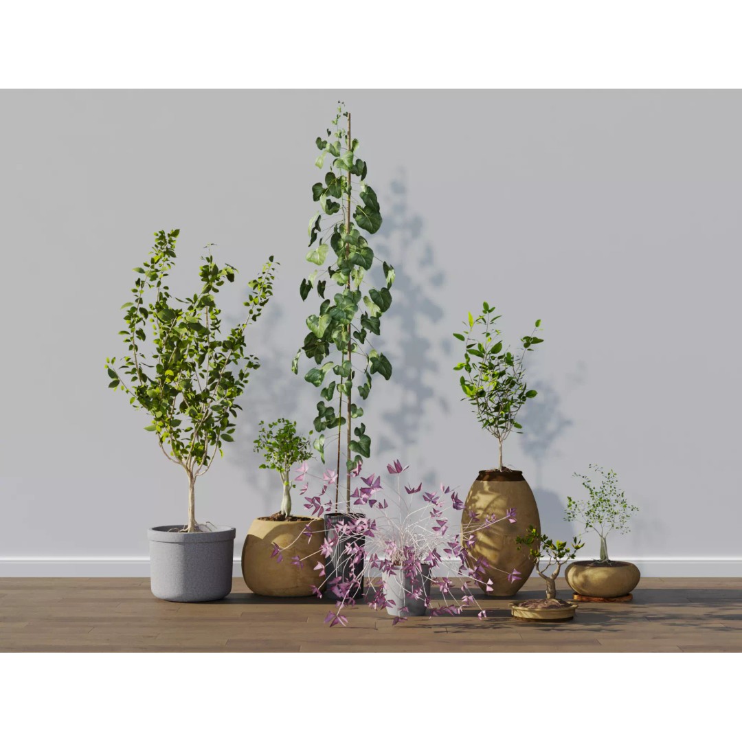 Potted Plants 3D Model – Hi-Poly Collection with PBR Textures, FBX & OBJ - View 2