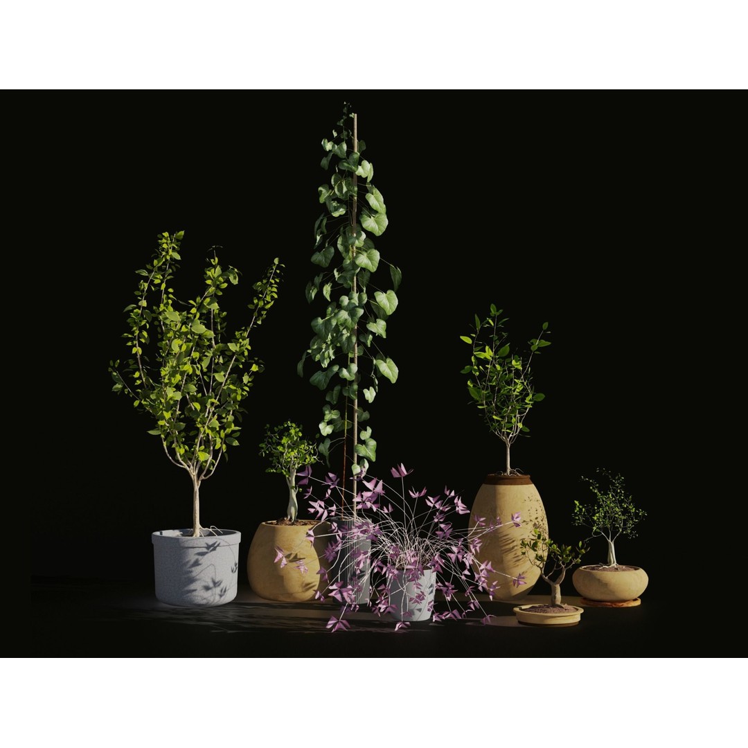 Potted Plants 3D Model – Hi-Poly Collection with PBR Textures, FBX & OBJ - View 3