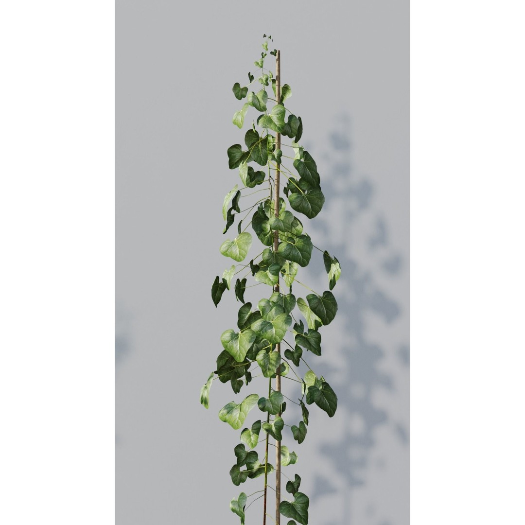 Potted Plants 3D Model – Hi-Poly Collection with PBR Textures, FBX & OBJ - View 4