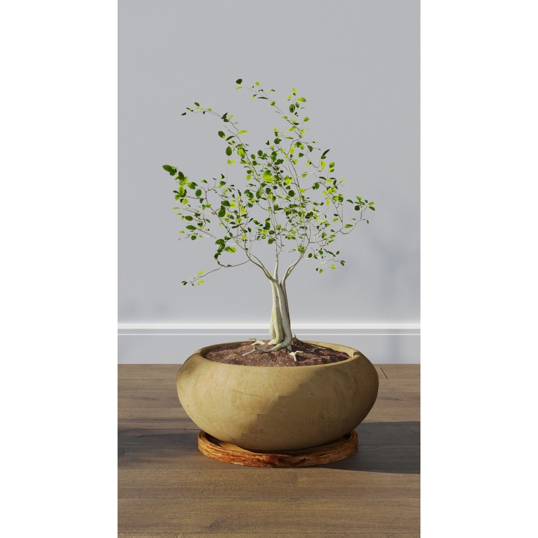 Potted Plants 3D Model – Hi-Poly Collection with PBR Textures, FBX & OBJ - View 5